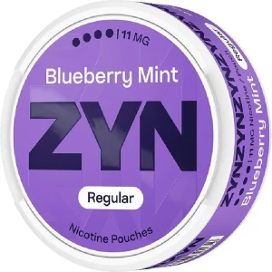 Blueberry mint ZYN regular nicotine pouches 21 pack