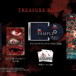Koei Tecmo Games Fate Samurai Remnant Treasure Box PS4 Enhanced Edition